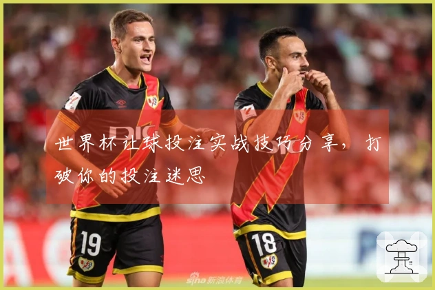 世界杯让球投注实战技巧分享，打破你的投注迷思