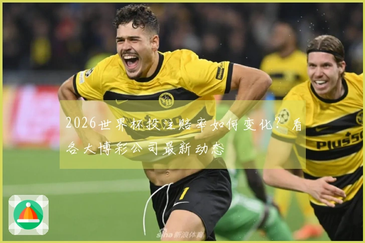 2026世界杯投注赔率如何变化？看各大博彩公司最新动态
