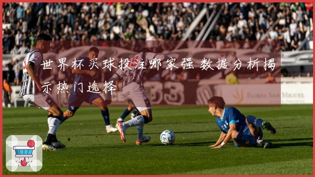 世界杯买球投注哪家强 数据分析揭示热门选择