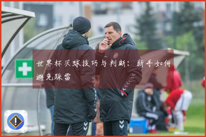 世界杯买球技巧与判断：新手如何避免踩雷