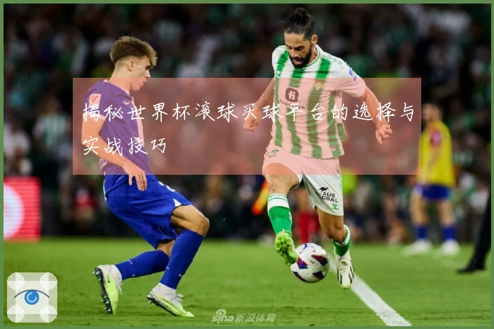 揭秘世界杯滚球买球平台的选择与实战技巧