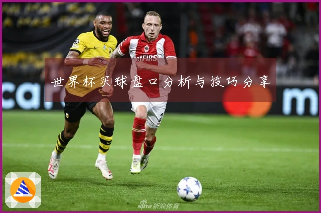 世界杯买球盘口分析与技巧分享