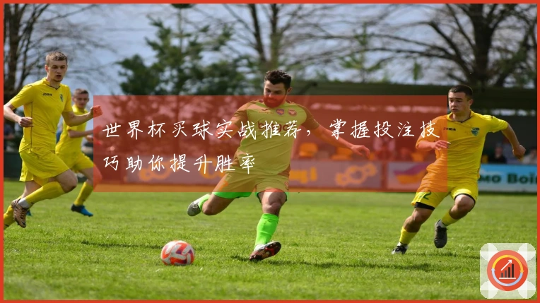 世界杯买球实战推荐，掌握投注技巧助你提升胜率
