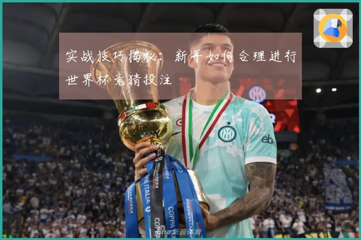 实战技巧揭秘：新手如何合理进行世界杯竞猜投注