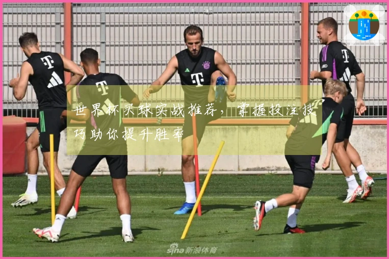 世界杯买球实战推荐，掌握投注技巧助你提升胜率