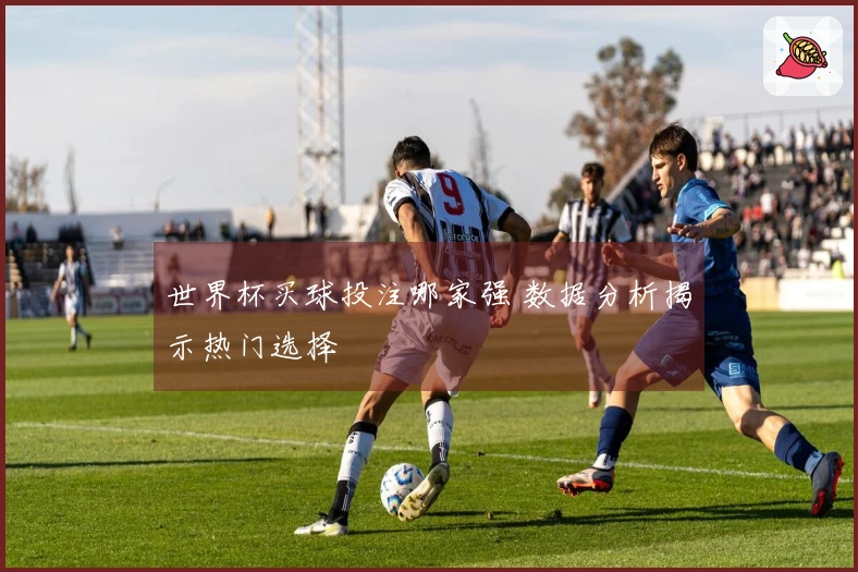 世界杯买球投注哪家强 数据分析揭示热门选择