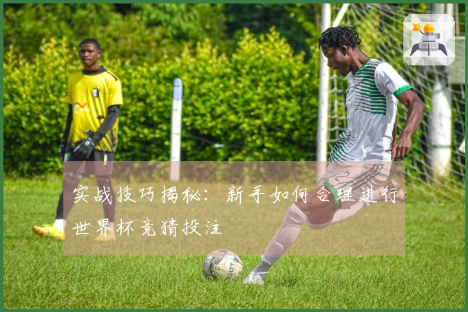 实战技巧揭秘：新手如何合理进行世界杯竞猜投注