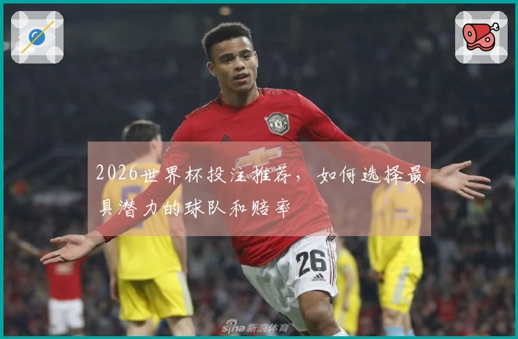 2026世界杯投注推荐，如何选择最具潜力的球队和赔率