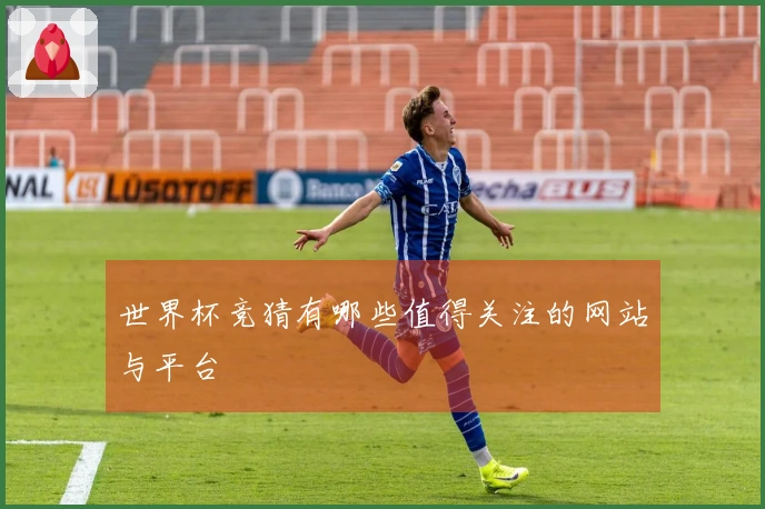 世界杯竞猜有哪些值得关注的网站与平台