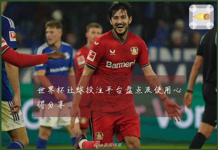 世界杯让球投注平台盘点及使用心得分享