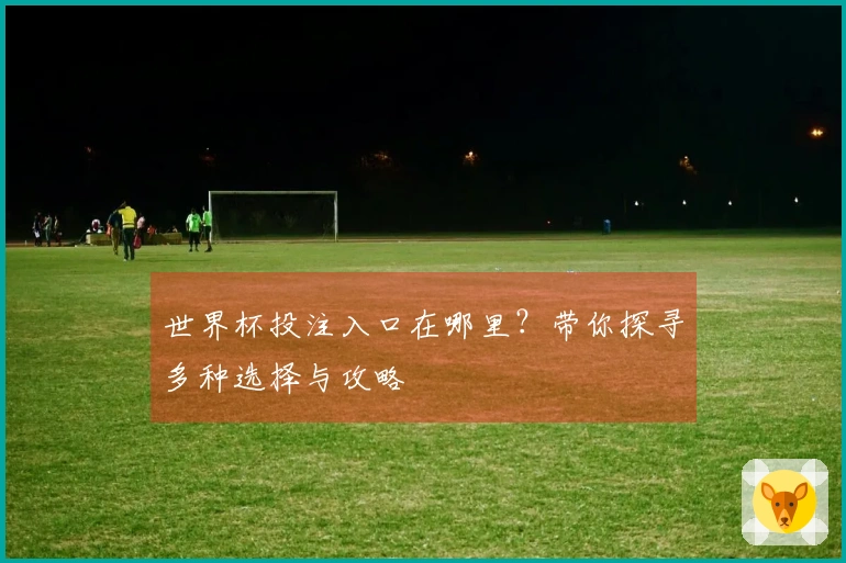 世界杯投注入口在哪里？带你探寻多种选择与攻略