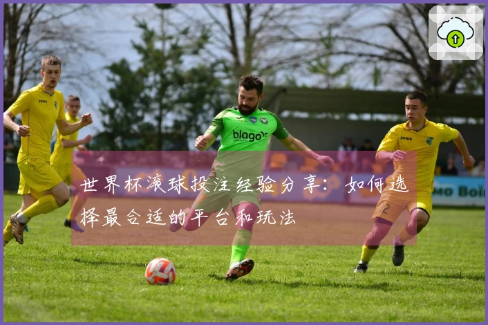 世界杯滚球投注经验分享：如何选择最合适的平台和玩法