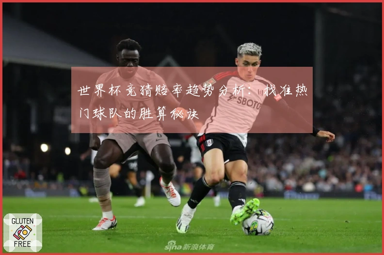 世界杯竞猜赔率趋势分析：找准热门球队的胜算秘诀