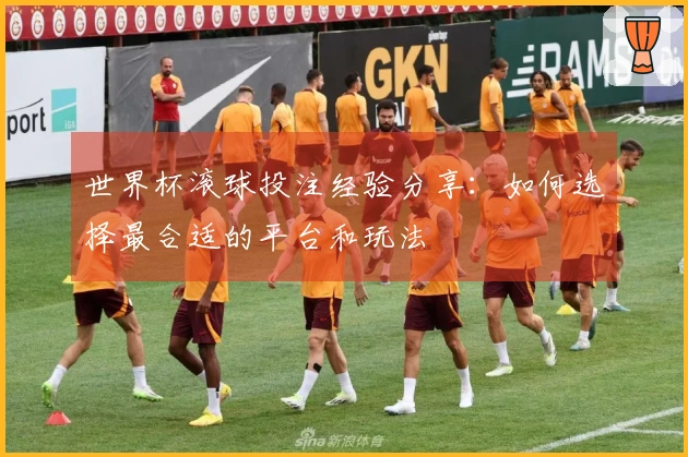 世界杯滚球投注经验分享：如何选择最合适的平台和玩法