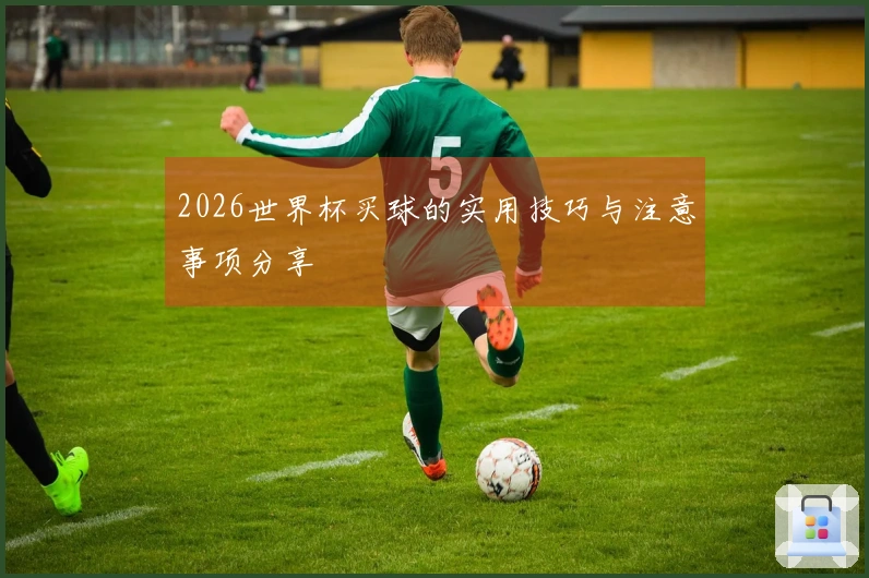 2026世界杯买球的实用技巧与注意事项分享